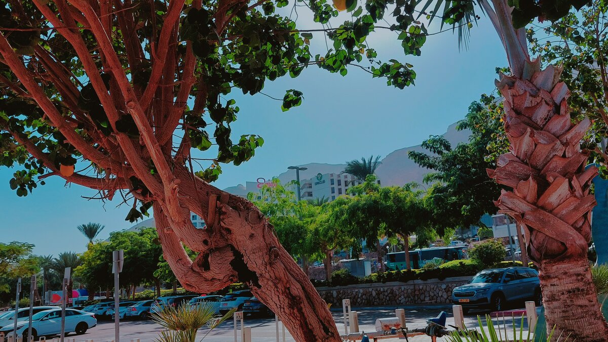 12 КЛОС (473) - CLOSE WAYS ALL 12 КЛОС (473) - CLOSE WAYS ALL