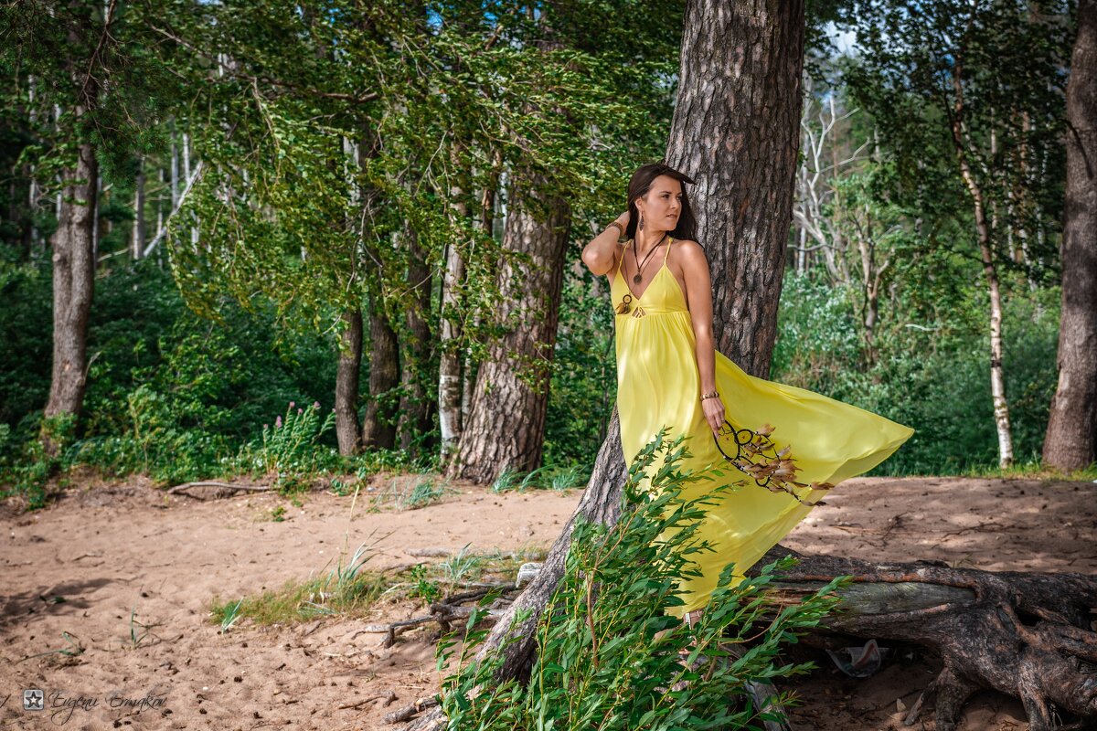 Кто там? - Евгений Ермаков