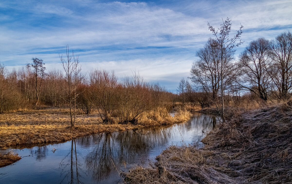 Февральское, зимние утро :) - Андрей Дворников Февральское, зимние утро :) - Андрей Дворников