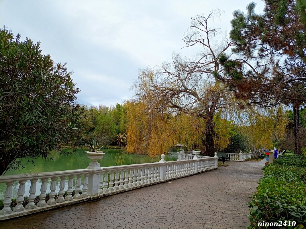 Адлер. Дендропарк "Южные культуры" - Нина Бутко Адлер. Дендропарк "Южные культуры" - Нина Бутко