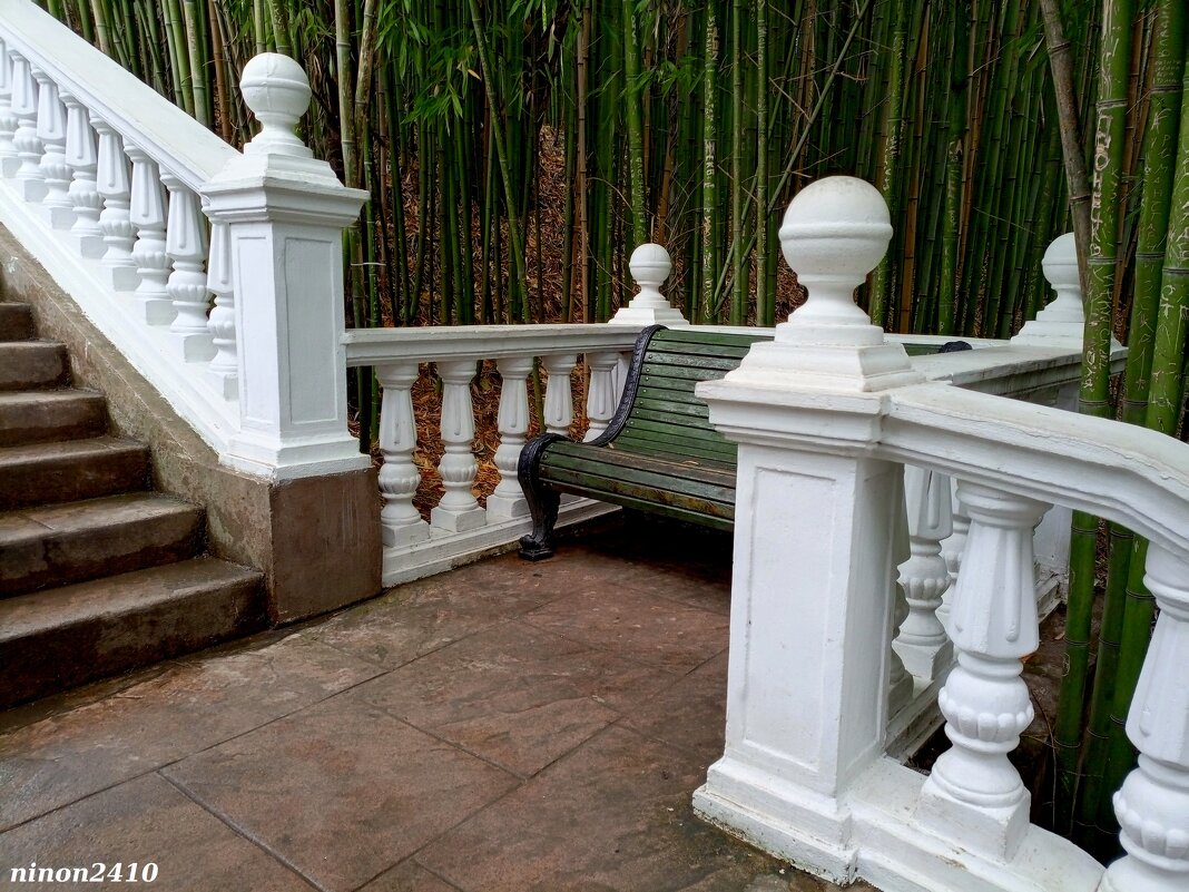 Адлер. Дендропарк "Южные культуры" - Нина Бутко Адлер. Дендропарк "Южные культуры" - Нина Бутко