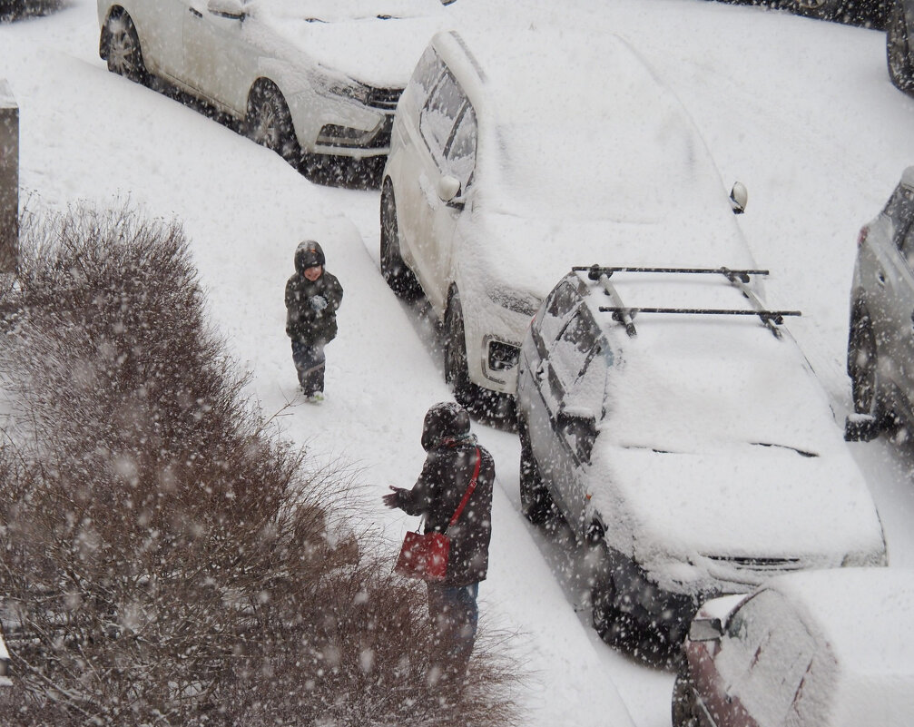Зима вернулась - Магомед . Зима вернулась - Магомед .