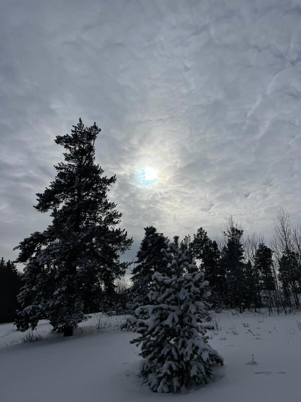 Солнце февральской пелене - Георгиевич 
