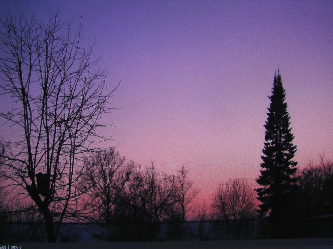 Февральский вечер - Людмила Смородинская