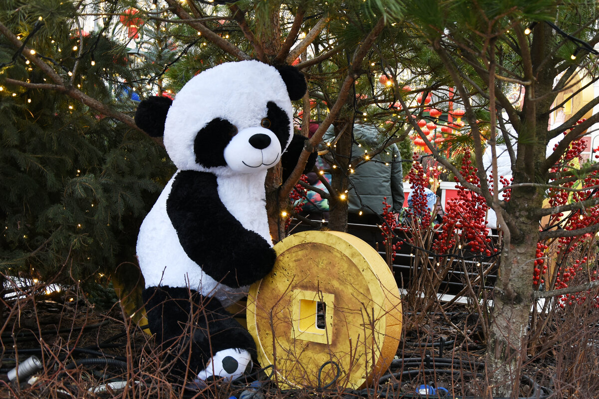 Москва. Китайский Новый год на Тверской. - Наташа ***** Москва. Китайский Новый год на Тверской. - Наташа *****