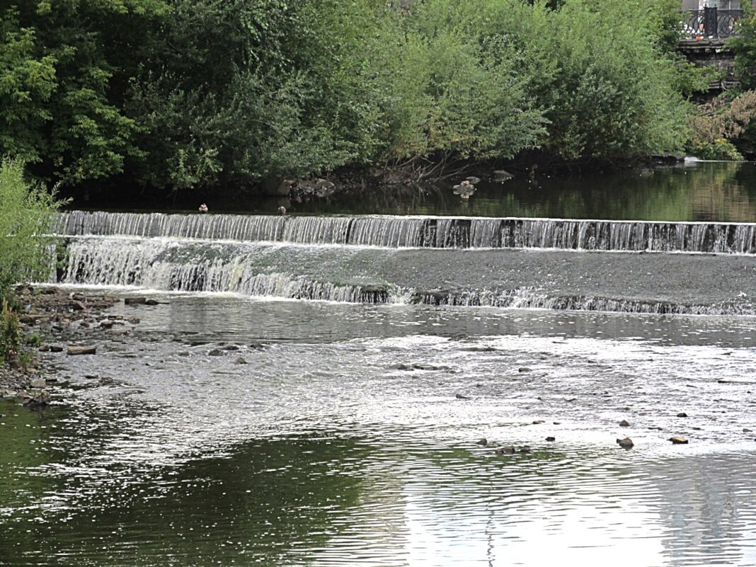 ПРО Екатеринбург - Елена Шаламова ПРО Екатеринбург - Елена Шаламова