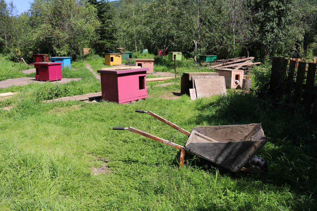 Домики для хасок - Ольга Домики для хасок - Ольга