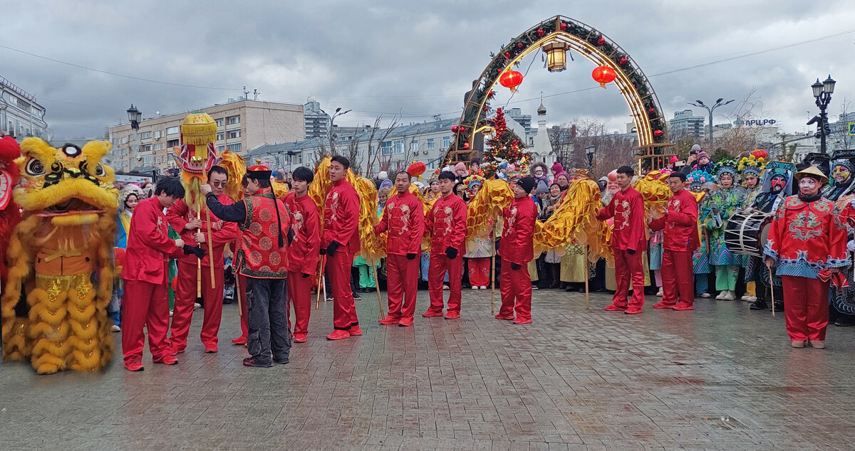 Начинать год змей готов. - ИРЭН@ . Начинать год змей готов. - ИРЭН@ .