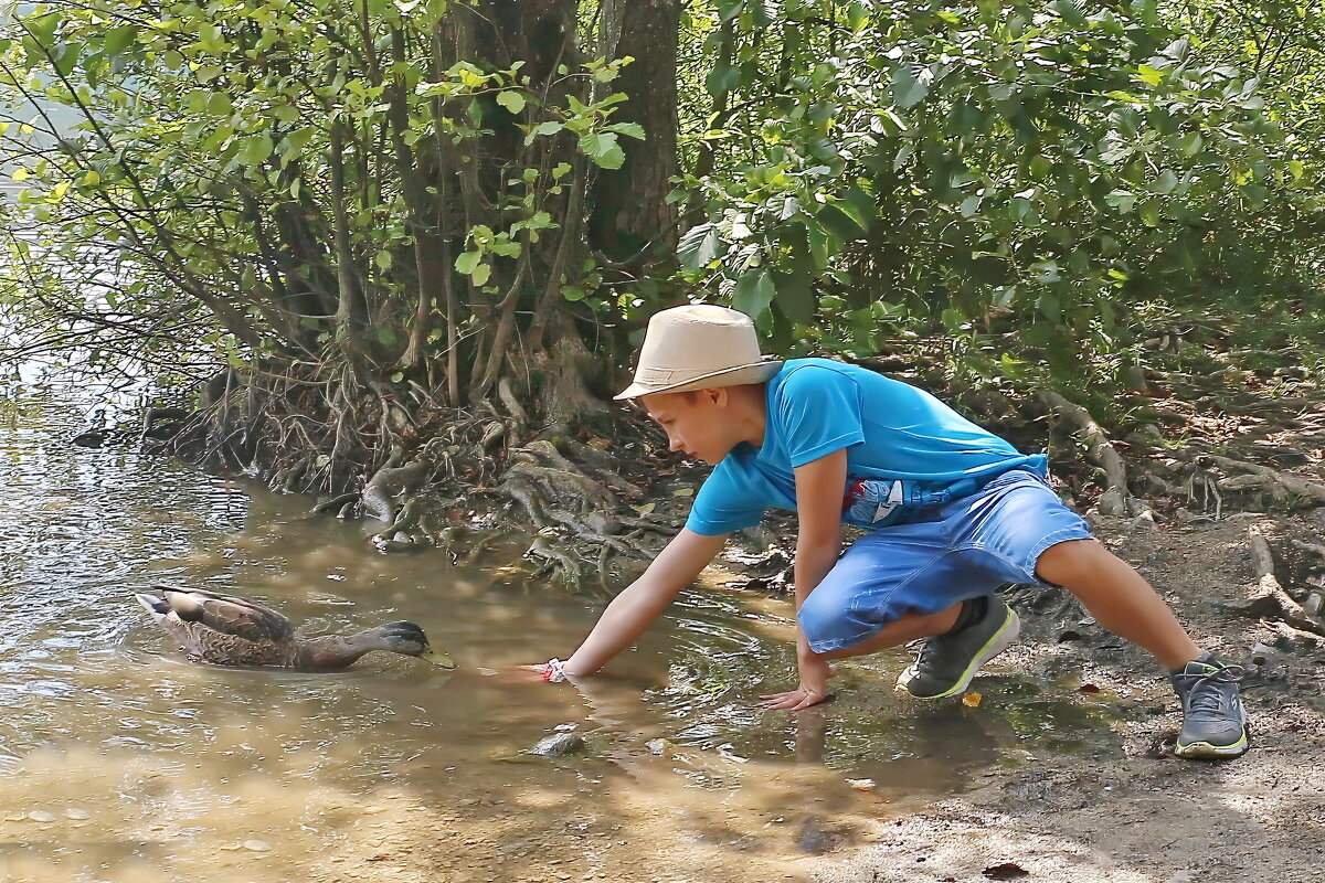 На обеде - Sergey Grim