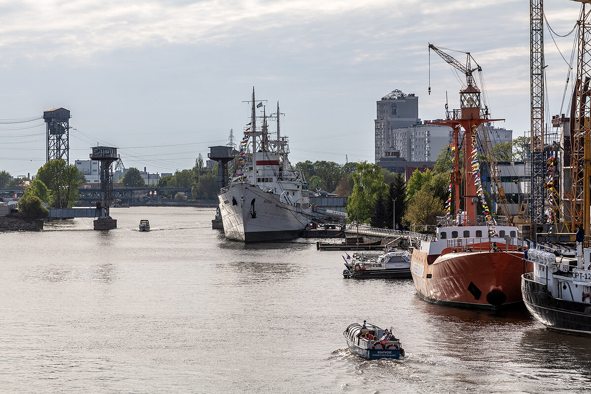 Калининград - Дмитрий 