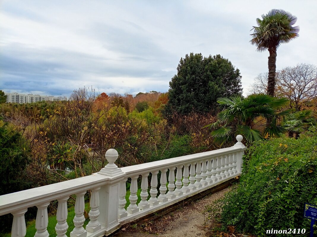 Адлер. Дендропарк "Южные культуры" - Нина Бутко Адлер. Дендропарк "Южные культуры" - Нина Бутко