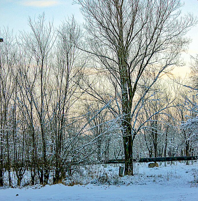 В зимнем парке - Светлана SvetNika17