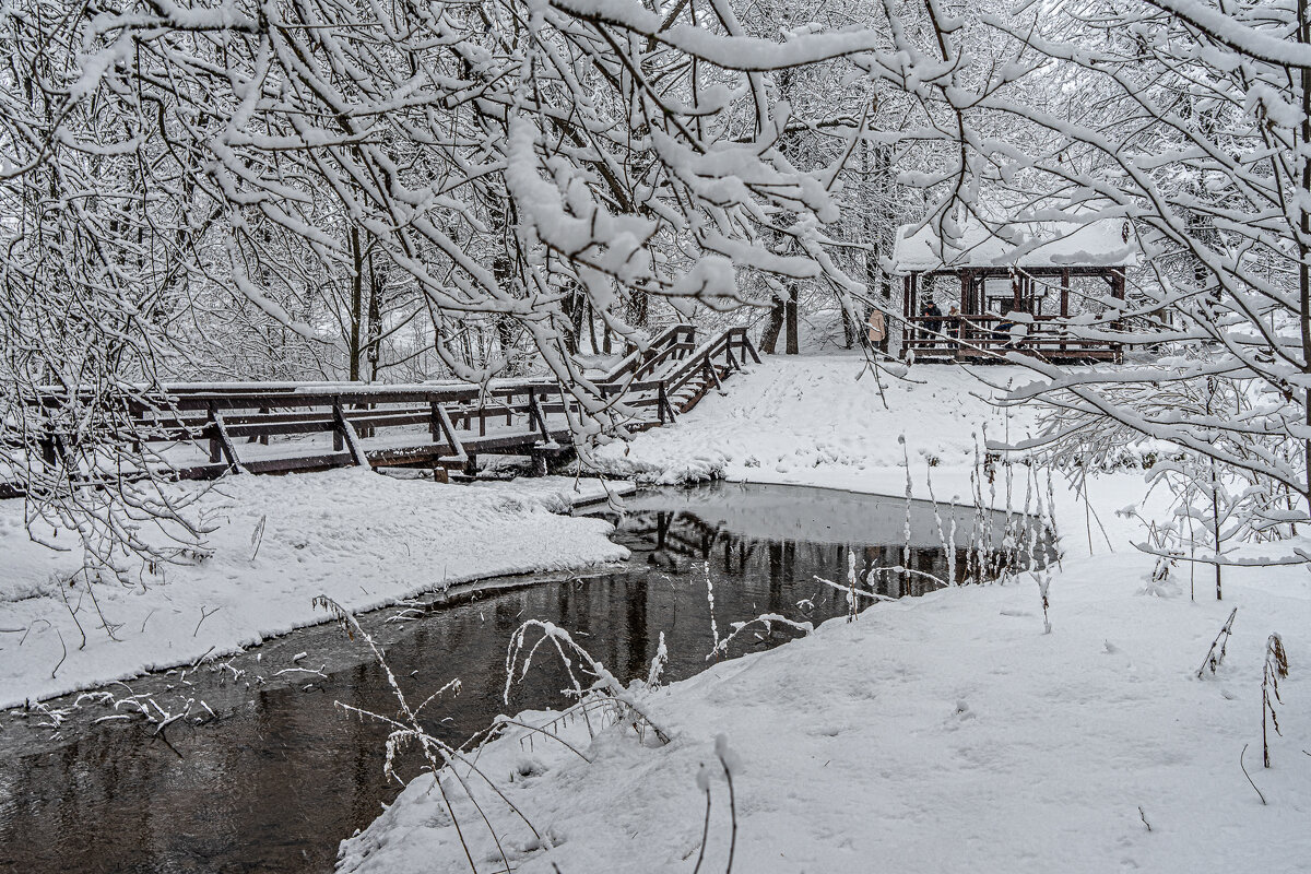 Уголок парка после снегопада - Владимир Езеров Уголок парка после снегопада - Владимир Езеров