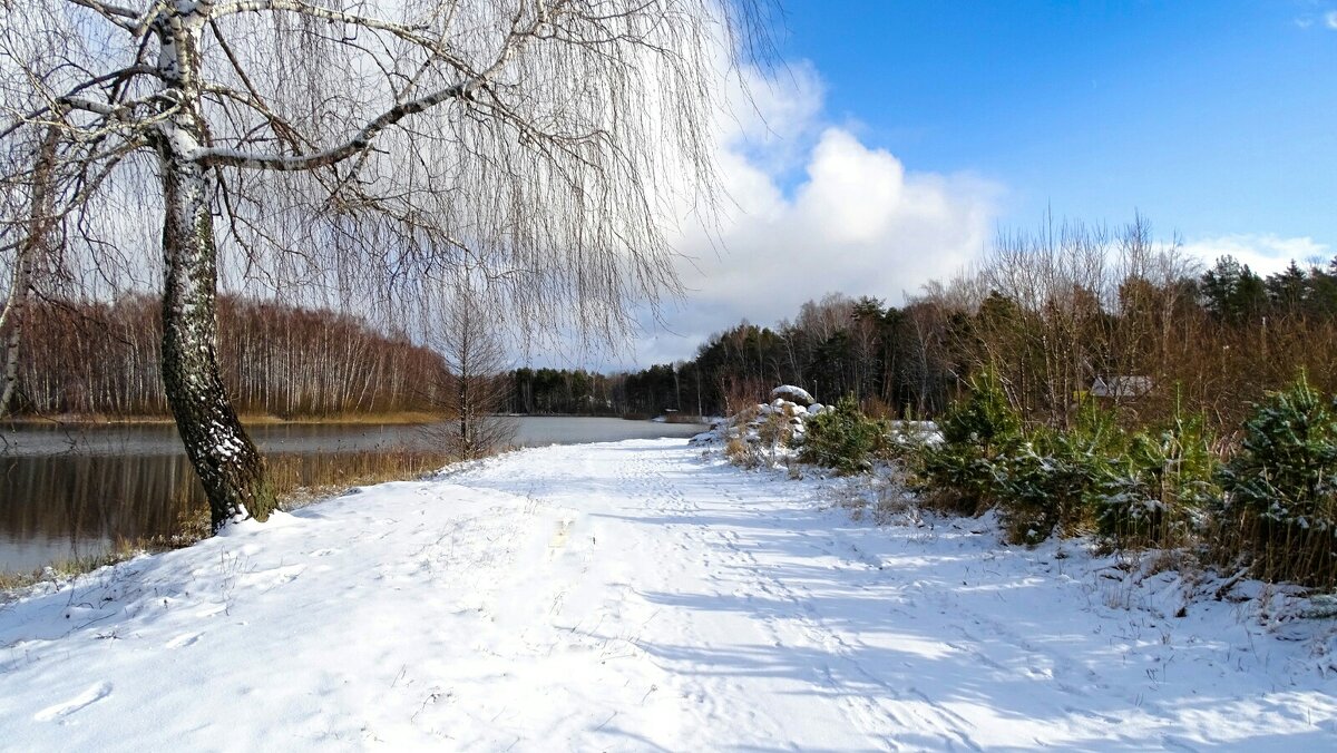 Февраль в деревне. - Милешкин Владимир Алексеевич Февраль в деревне. - Милешкин Владимир Алексеевич