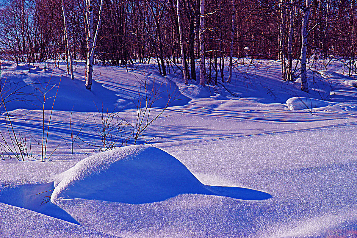 Февраль..Весна света в окрестностях протоки Чеускина. - Владимир Февраль..Весна света в окрестностях протоки Чеускина. - Владимир