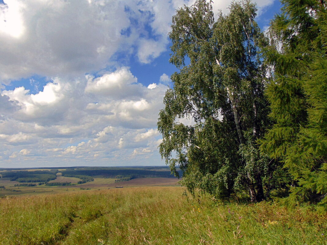 Всего лишь миг из лета. - nadyasilyuk Вознюк