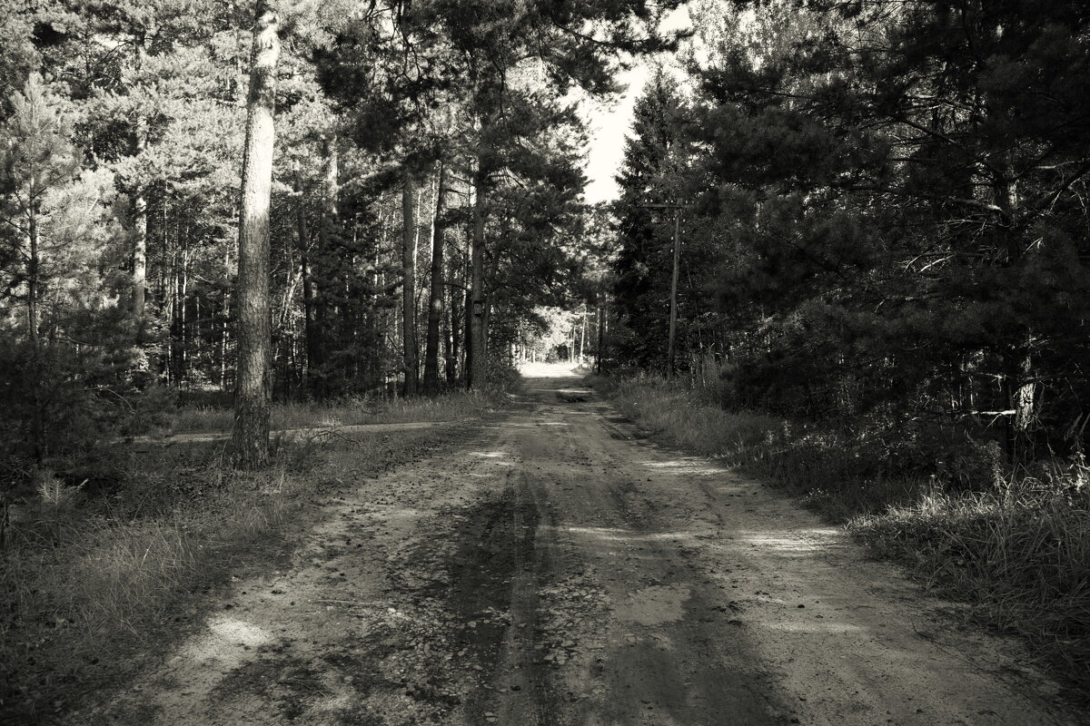 П - Денис Безногов