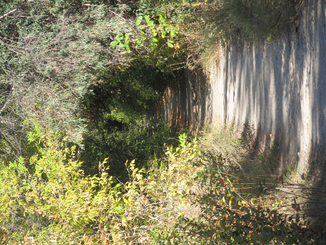 дорожка в осень - Елена Шаламова