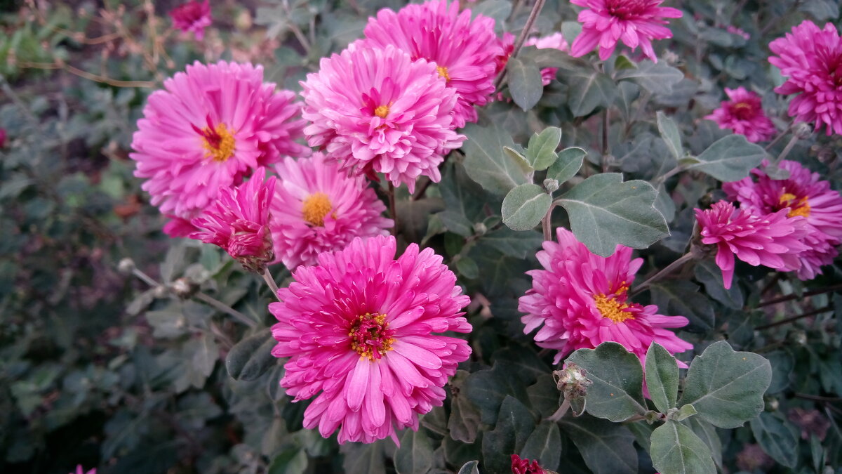 ,,, - Сергей Тимоновский