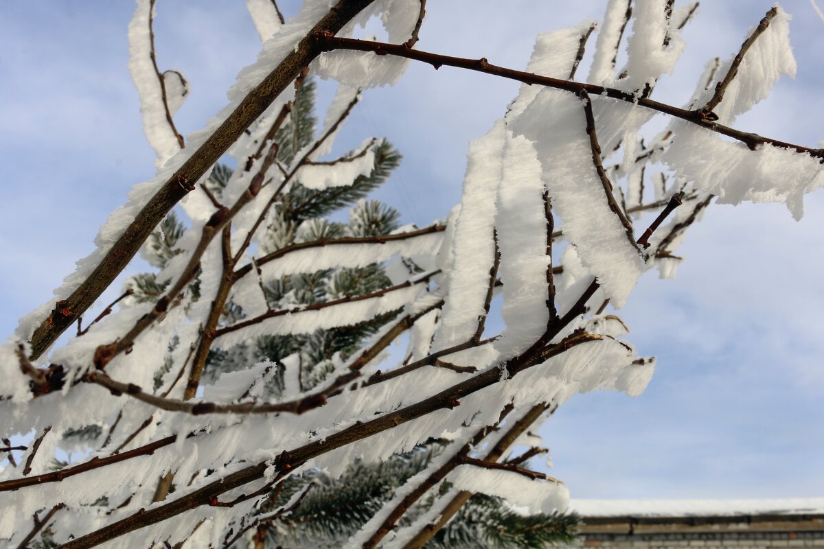 Узоры инея - Ольга Узоры инея - Ольга