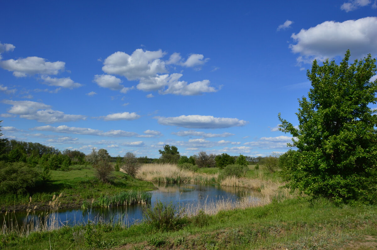 *** - Виктор *** - Виктор
