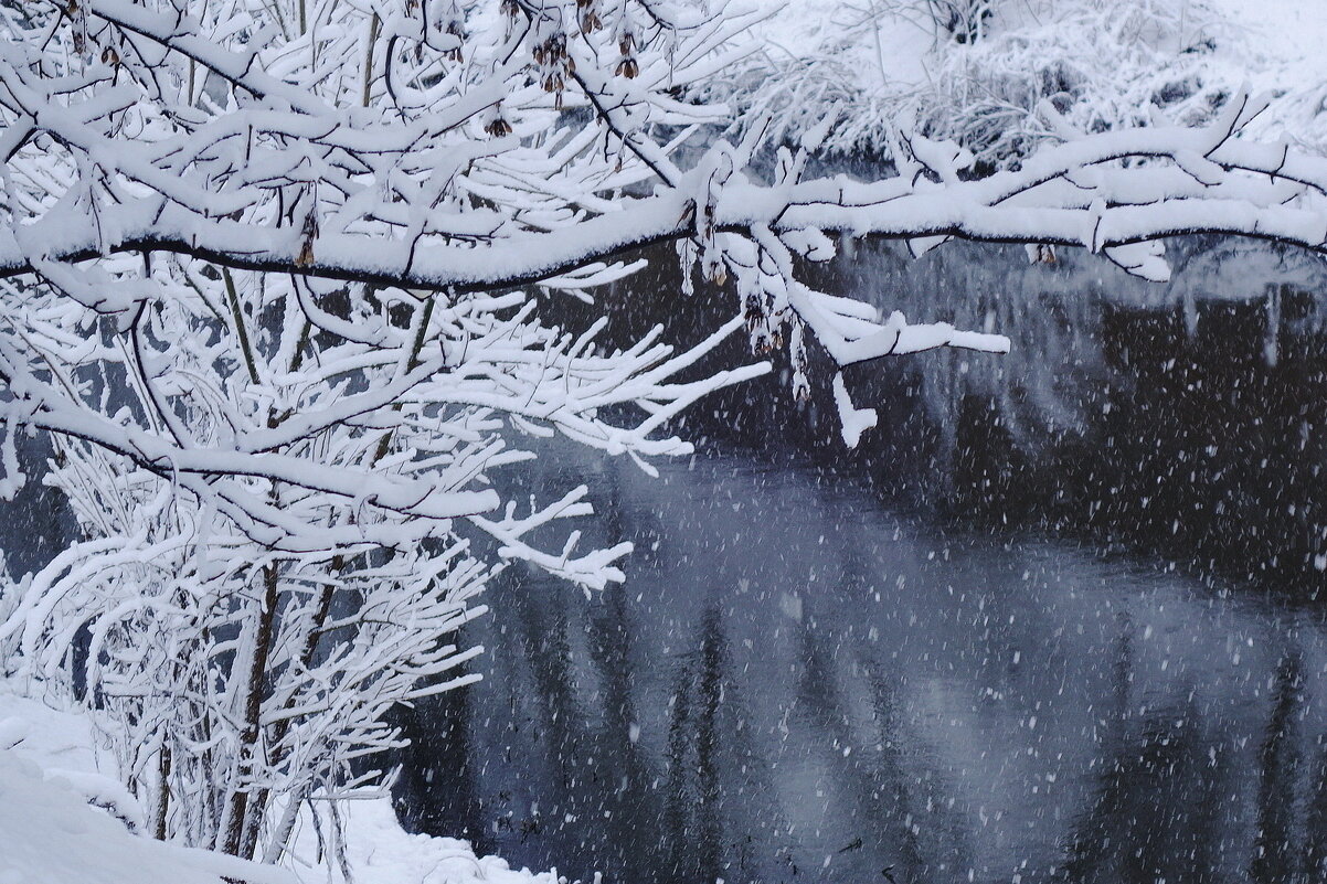 Зимний этюд - Рита Симонова