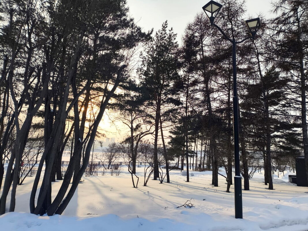 Зимний день - Валентина Богатко 