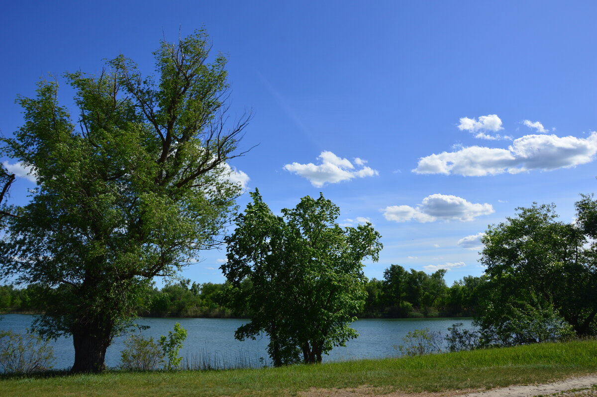 Донские виды. - Виктор 