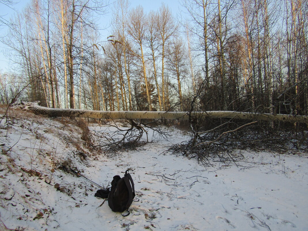 ** - Galaelina *** ** - Galaelina ***