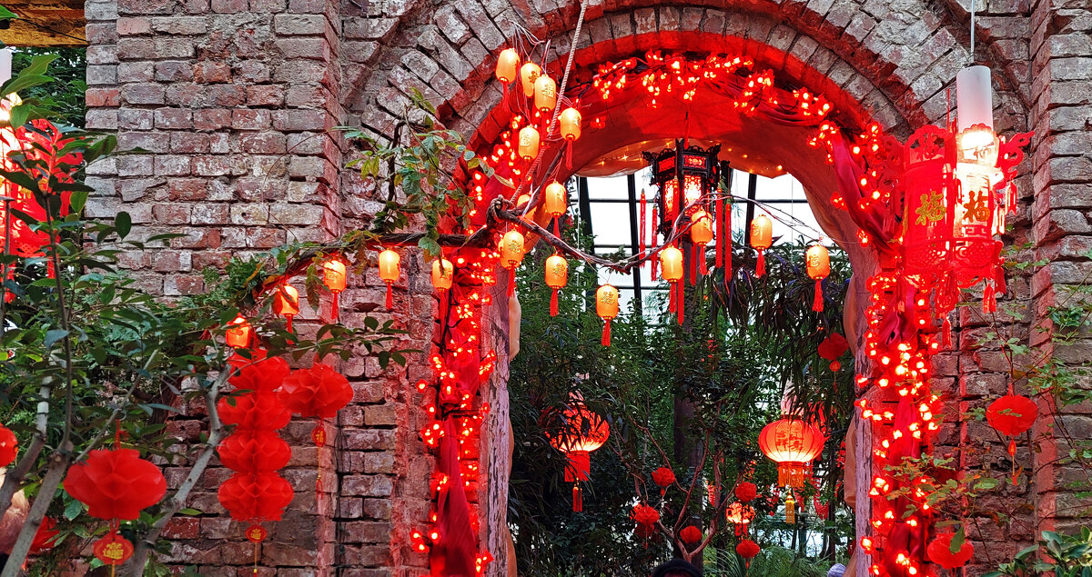 в оранжерее Аптекарского огорода - ИРЭН@ . в оранжерее Аптекарского огорода - ИРЭН@ .