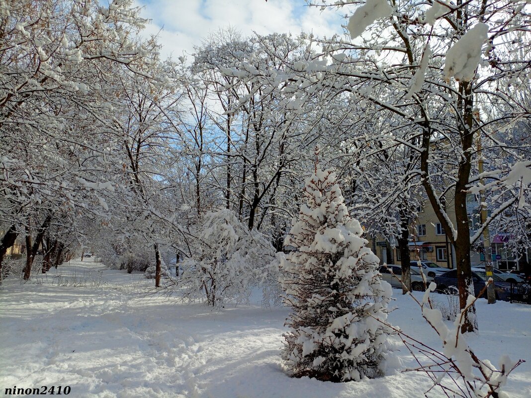 Ростовская зима - Нина Бутко Ростовская зима - Нина Бутко