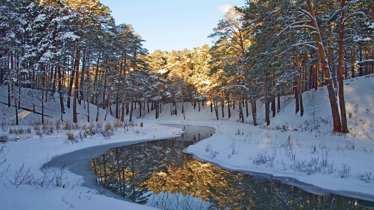Лесной ручей - Сергей Швечков Лесной ручей - Сергей Швечков