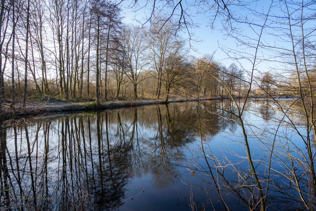 Январские отражения... - Николай Гирш Январские отражения... - Николай Гирш