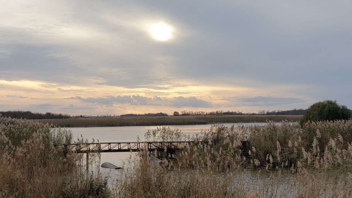 плавни - наталья плавни - наталья