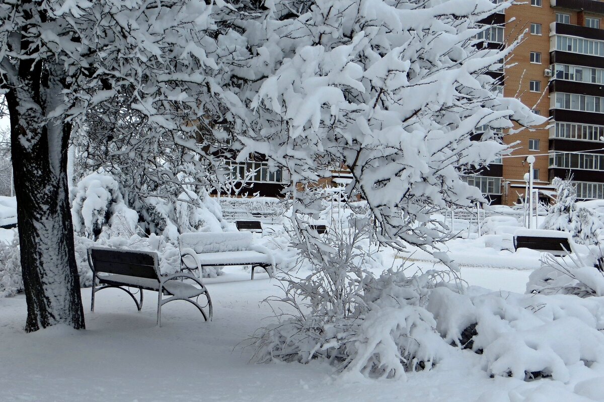 Мой город в снегу - Татьяна Смоляниченко Мой город в снегу - Татьяна Смоляниченко