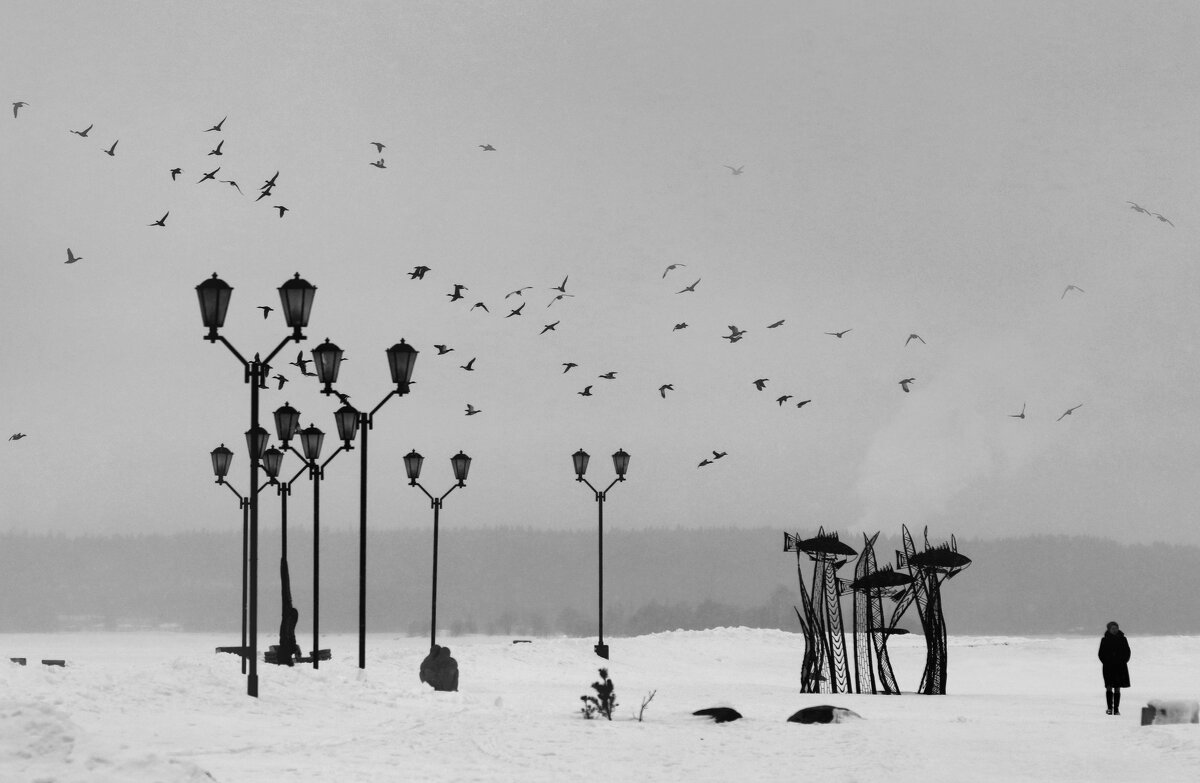 ... - Владимир 