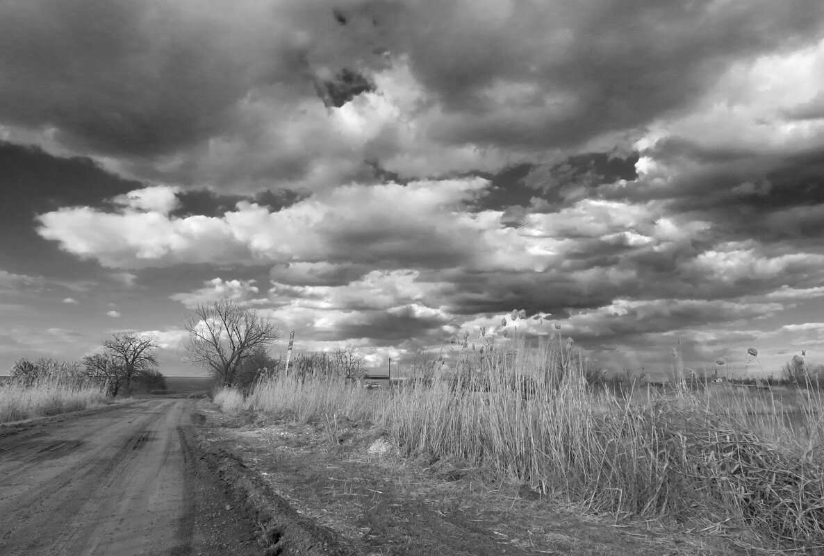 Наша зима - Валерий Ткаченко Наша зима - Валерий Ткаченко