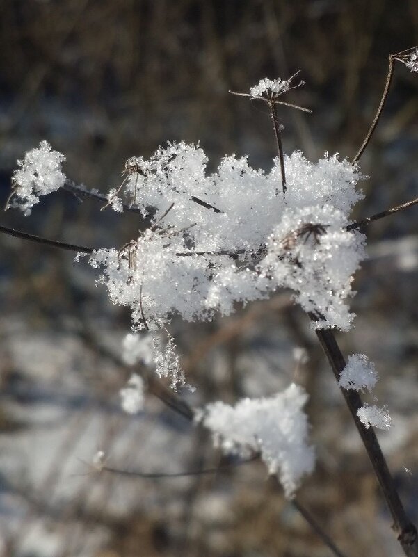 зимние кружева - Наталия Кольцова