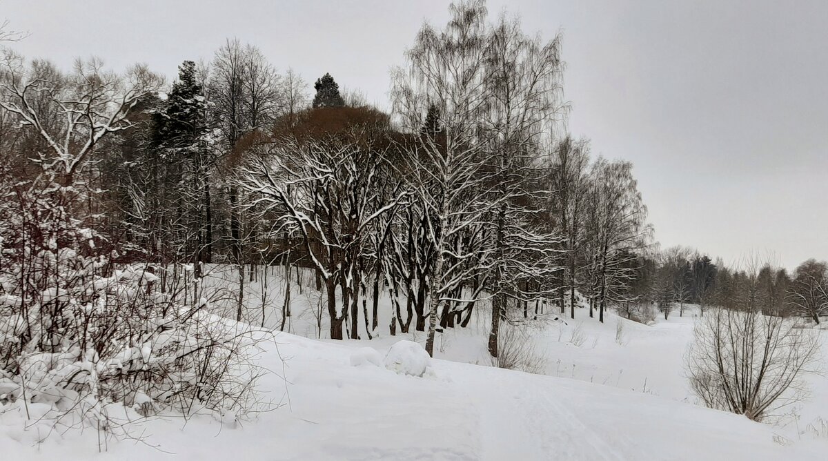 Мариенталь - Наталья Герасимова Мариенталь - Наталья Герасимова
