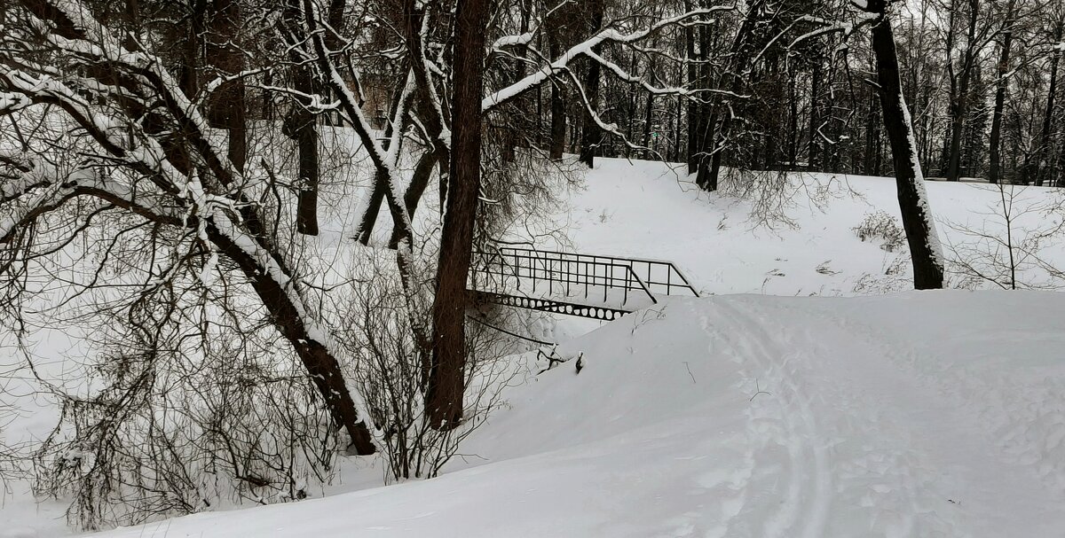 Мариенталь - Наталья Герасимова
