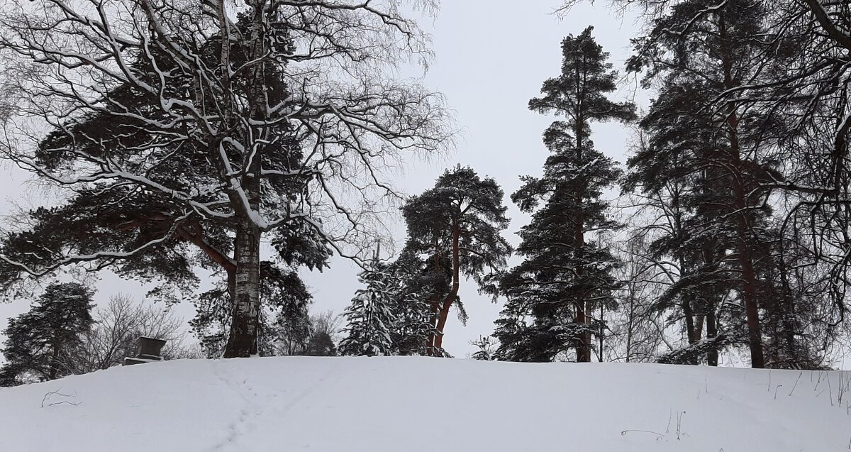 Мариенталь - Наталья Герасимова