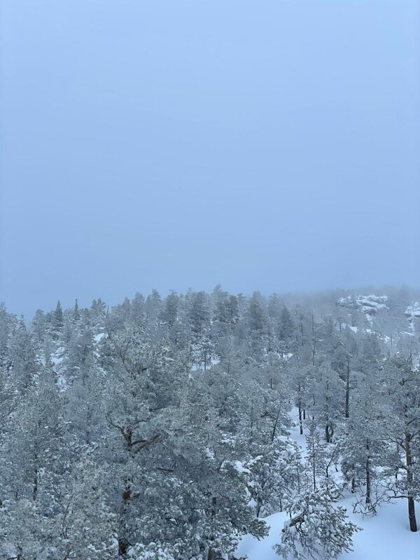 Зимний туман - Георгиевич 