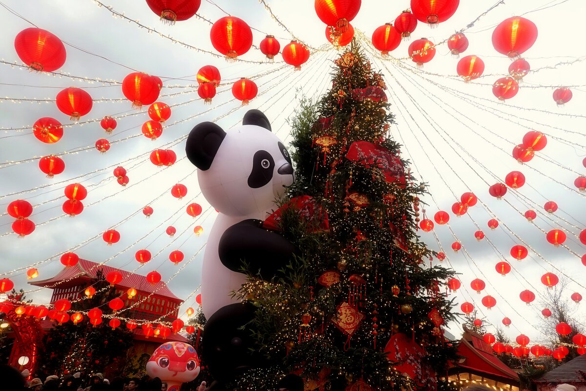 Сюрприз от Панды! Выше всех! - Татьяна Помогалова Сюрприз от Панды! Выше всех! - Татьяна Помогалова