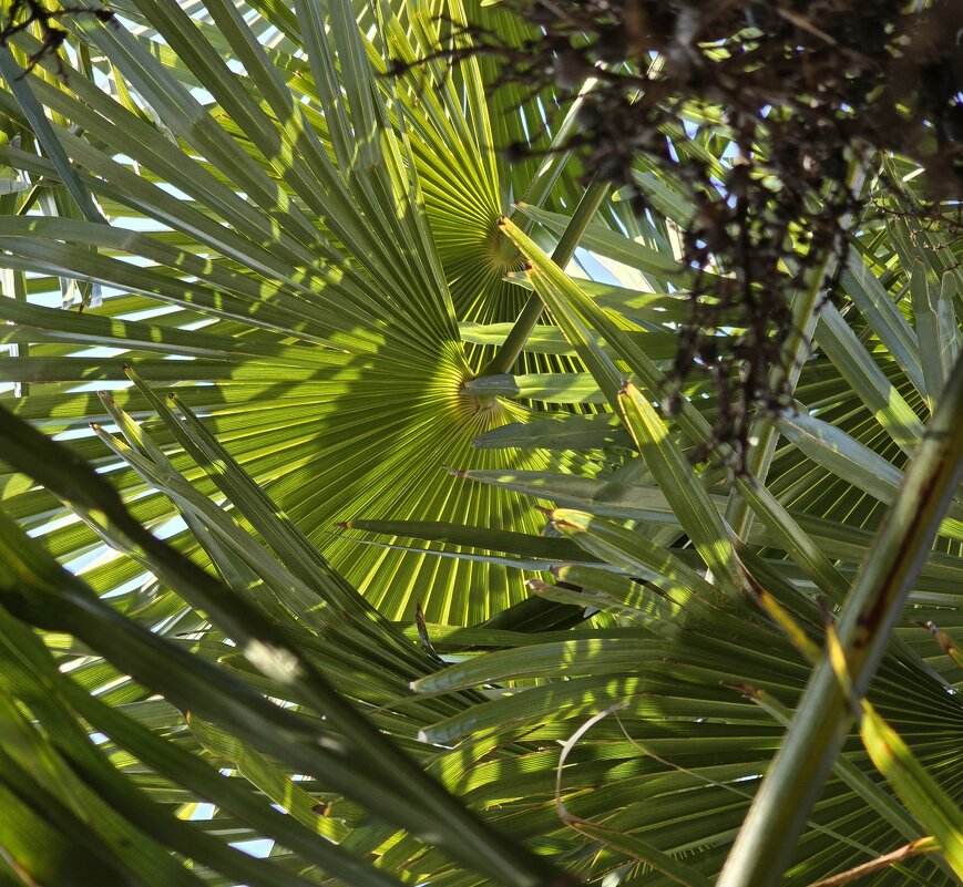 Ни чего не понять, но кажется не плохо - Наталья (D.Nat@lia) Ни чего не понять, но кажется не плохо - Наталья (D.Nat@lia)