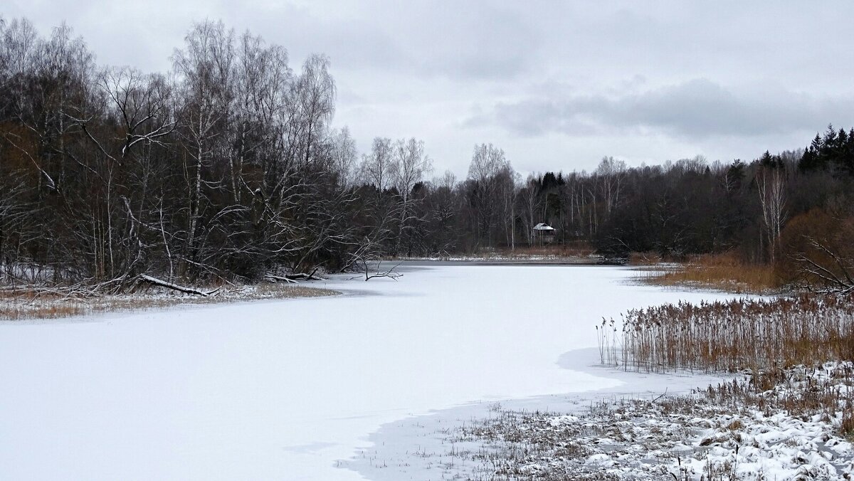 Пасмурный февральский день (репортаж из поездок по области) - Милешкин Владимир Алексеевич Пасмурный февральский день (репортаж из поездок по области) - Милешкин Владимир Алексеевич