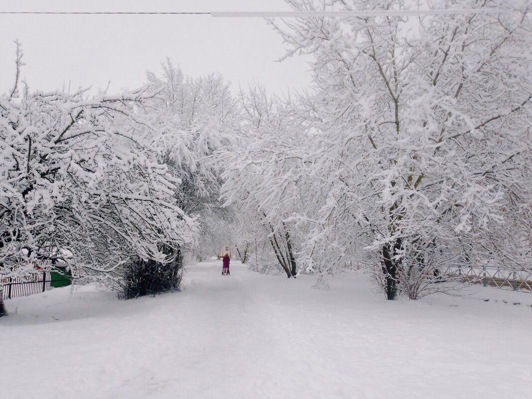 Заснеженные алеи - Сергей Кочнев