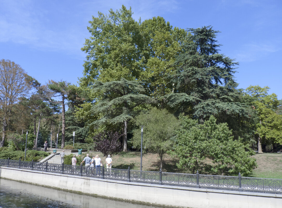 Парк  Гагарина - Валентин Семчишин