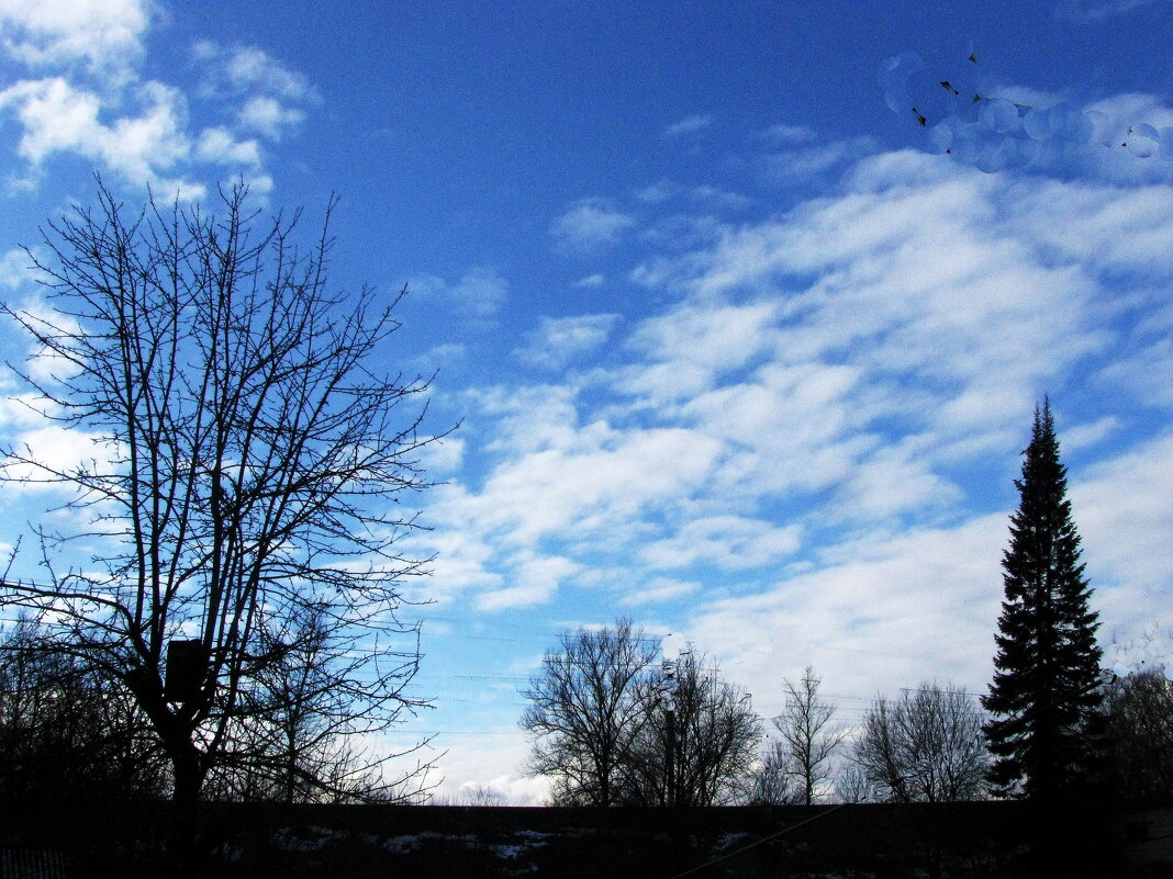 Красивый денёк - Людмила Смородинская Красивый денёк - Людмила Смородинская