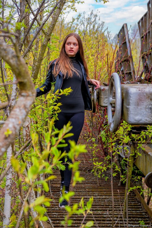 Осенний портрет - Евгений Ермаков