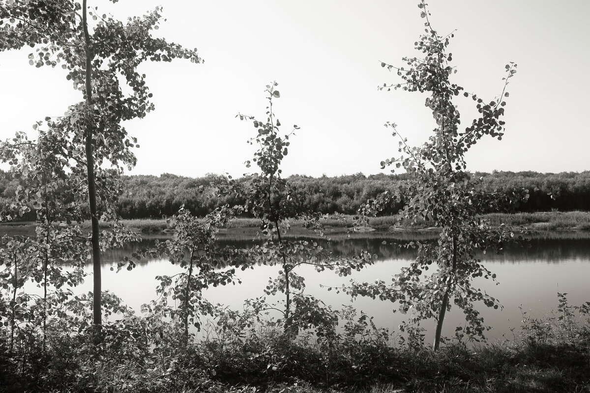 Название отсутствует - Денис Безногов Название отсутствует - Денис Безногов
